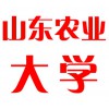 山東農(nóng)業(yè)大學